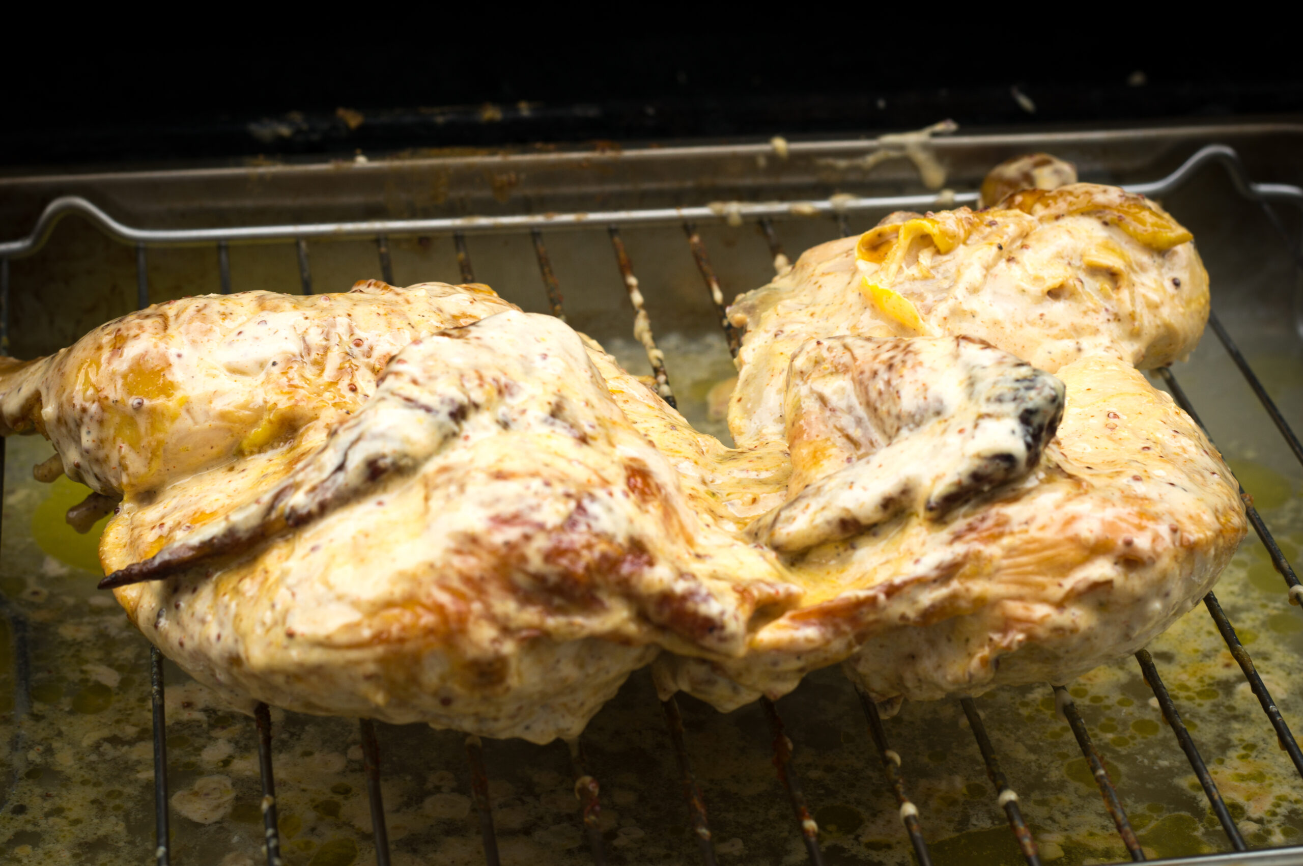 Roadkill Chicken - Alabama White BBQ Sauce